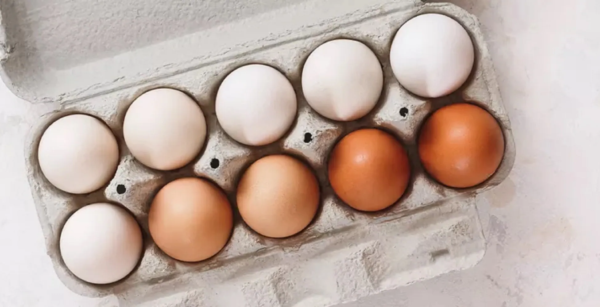 Sunny-Side Up Strategies: The Eggvolution Begins 