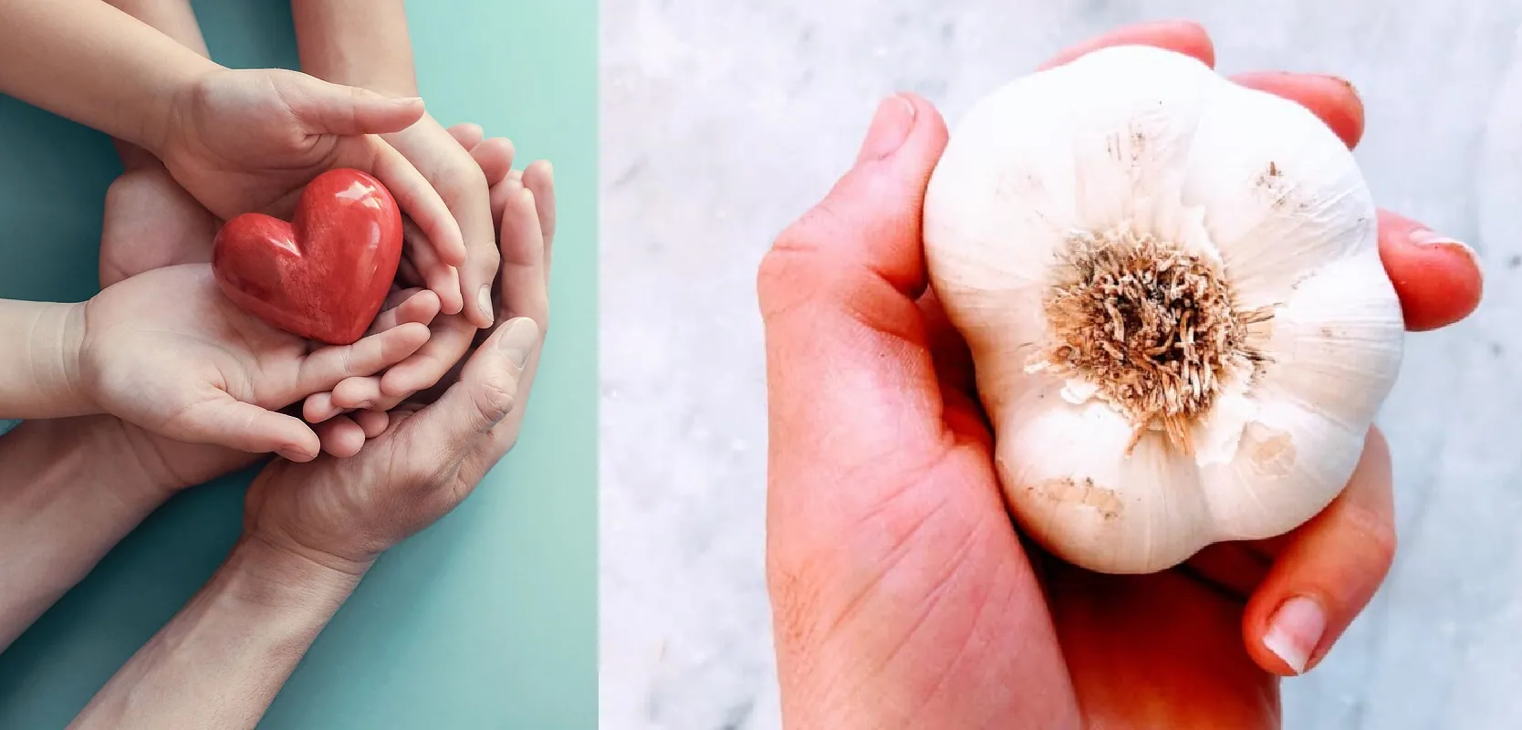 Garlic's Beat: Pumping Cardiovascular Strength
